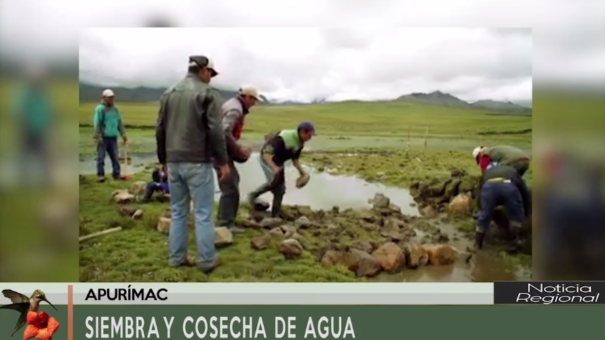 Siembra y Cosecha de Agua