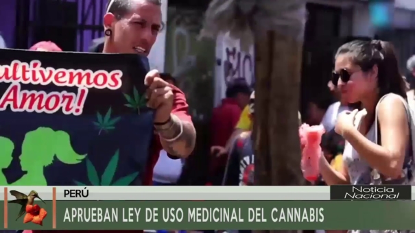 Aprueban Ley de Uso Medicinal del Cannabis