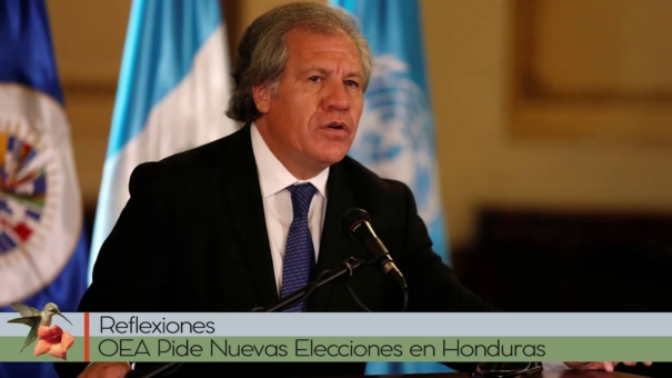 OEA Pide Nuevas Elecciones en Honduras