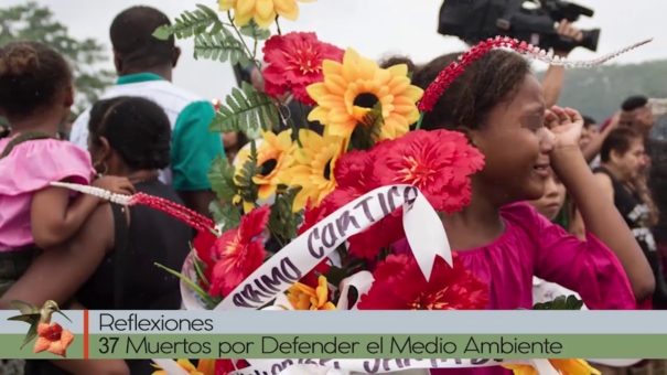 37 Muertos por Defender el Medio Ambiente