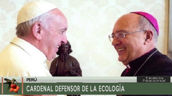 Cardenal Defensor de la Ecología