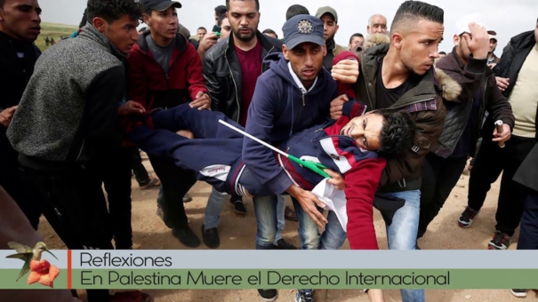 En Palestina Muere el Derecho Internacional