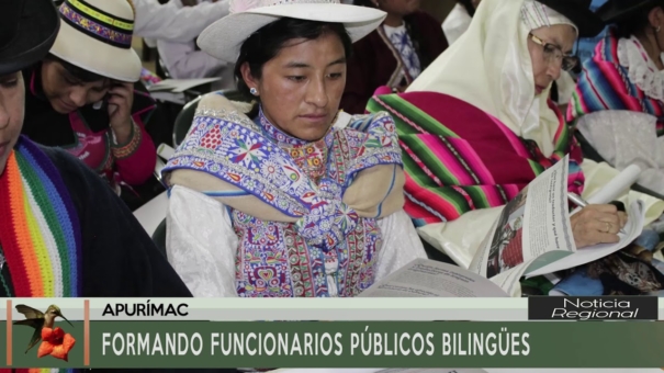 Formando Funcionarios Públicos Bilingües