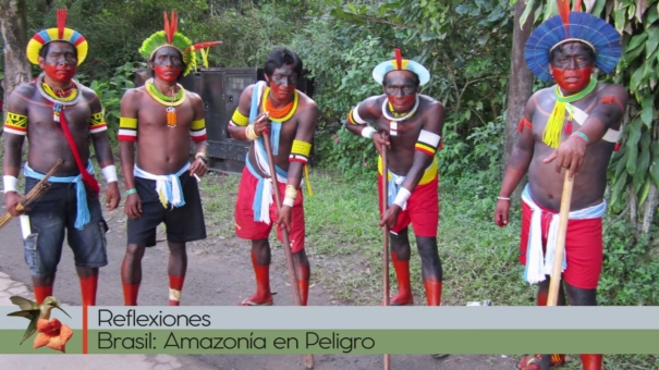 Brasil: Amazonía en Peligro